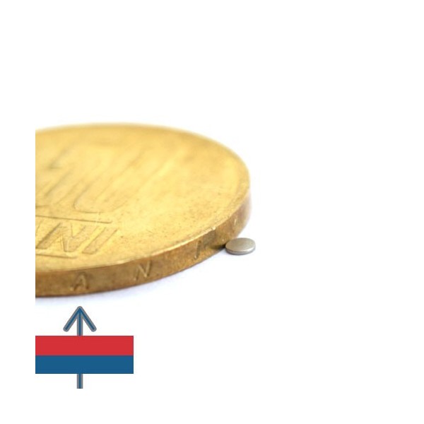 Magnet neodim disc 02 x 0.3 mm 2