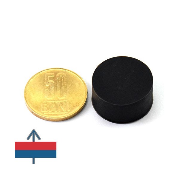 Неодимов магнит диск 22 x 11.4 мм гумен 1