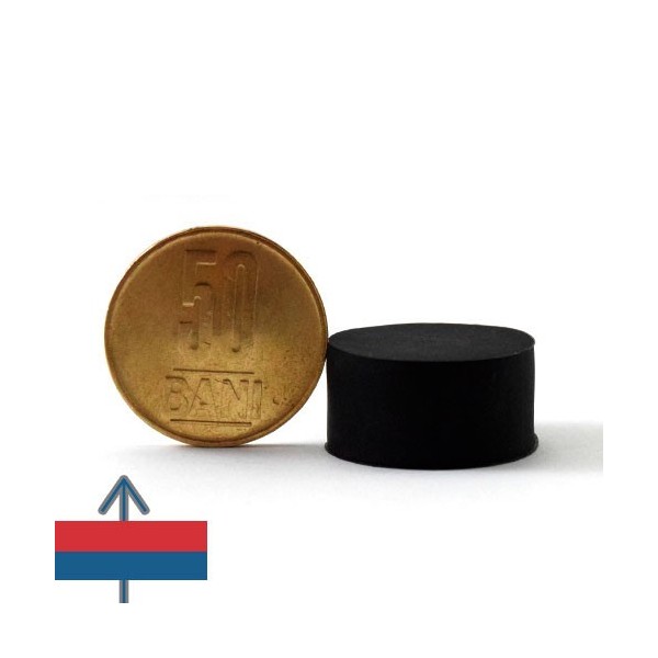Magnet neodim disc 22 x 11.4 mm cauciucat 3