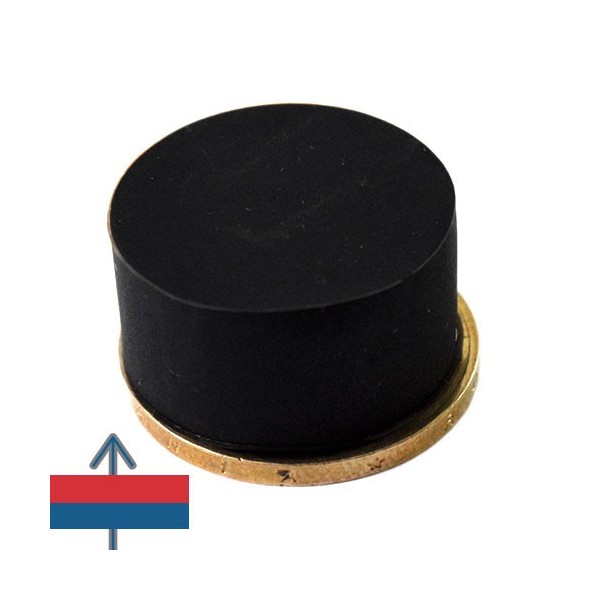 Magnet neodim disc 22 x 11.4 mm cauciucat 5