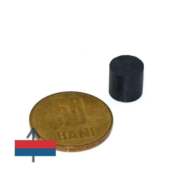 Magnet ferita disc 10 x 10 mm 1
