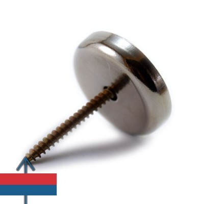 Magnet neodim oala D36 9