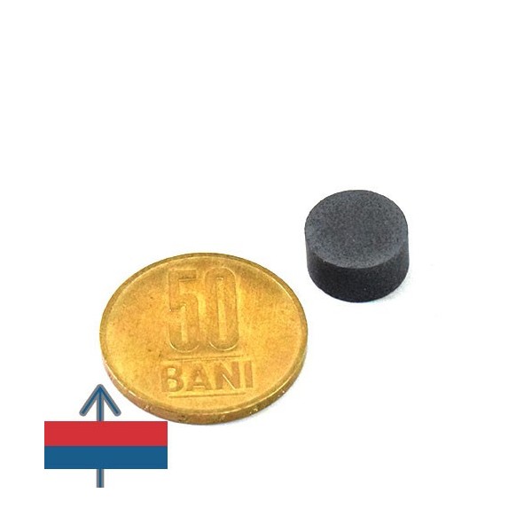 Феритен магнит диск 12 x 6 мм 1