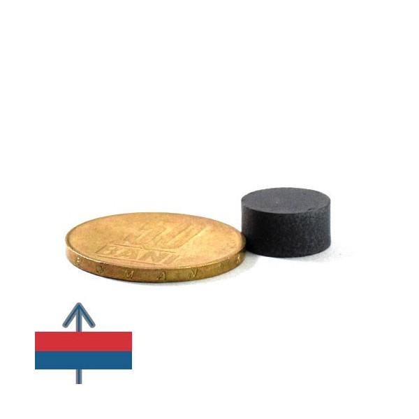 Magnet ferita disc 12 x 6 mm 2