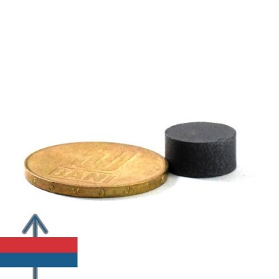 Magnet ferita disc 12 x 6 mm 2