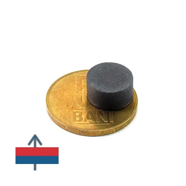 Magnet ferita disc 12 x 6 mm 3