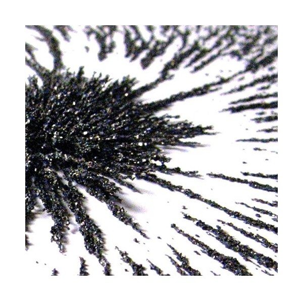 Pilitura de fier - 100 g - sub influența câmpului magnetic