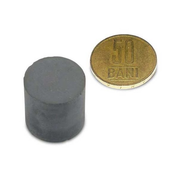 Magnet ferita disc 20 x 20 mm 1
