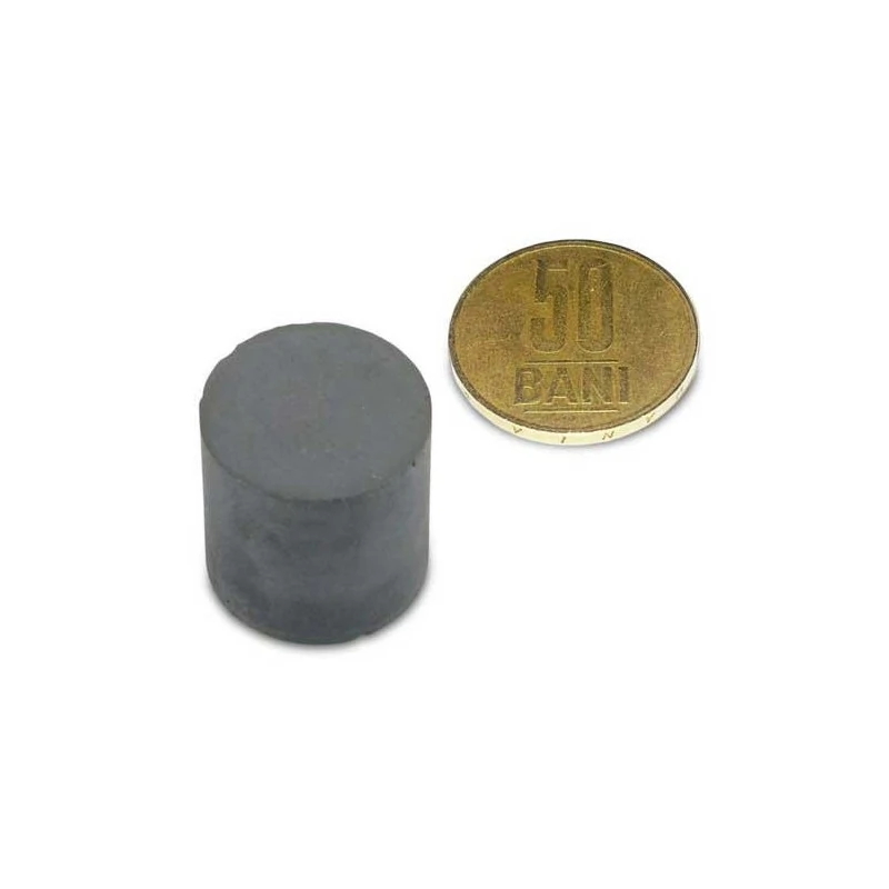 Magnet ferita disc 20 x 20 mm 1