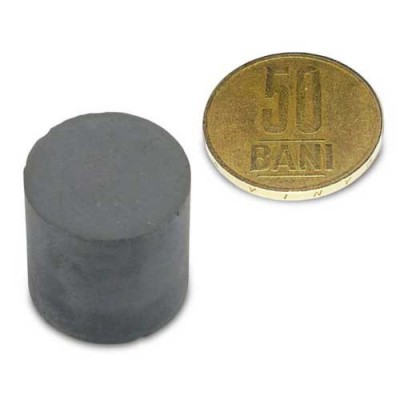 Magnet ferita disc 20 x 20 mm 1