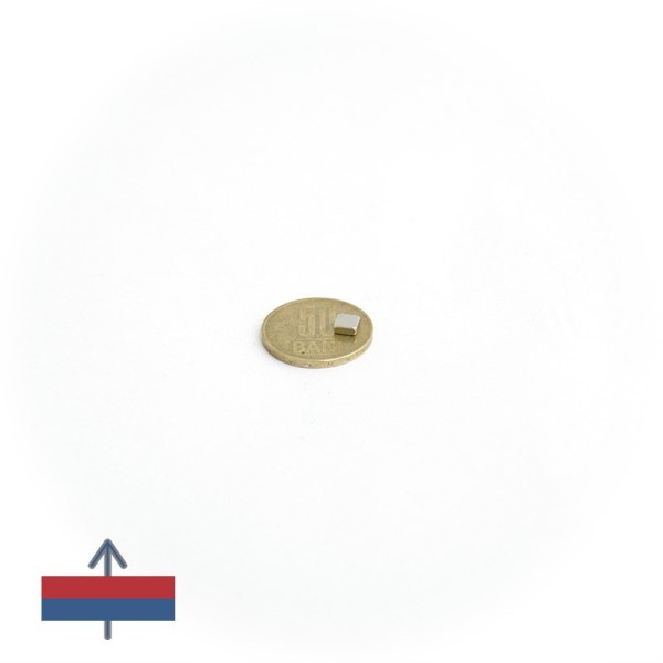 Неодимов магнит блок 5 x 5 x 2 мм с намагнитване и монета 50 стотинки