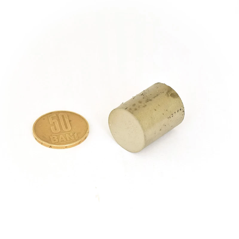 Magnet SmCo cilindru 20 x 25 mm 50 bani