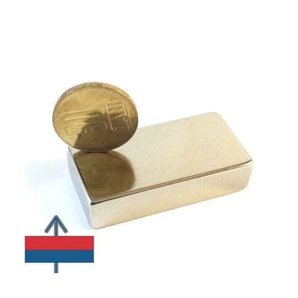 Magnet neodim bloc 50 x 25 x 12.5 mm cu moneda peste vertical