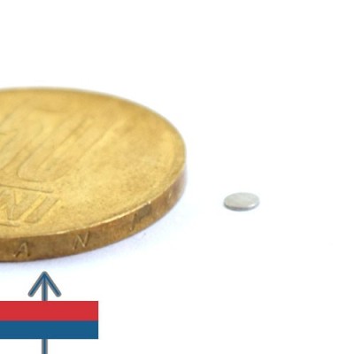 Magnet neodim disc 2.5 x 0.3 mm 1