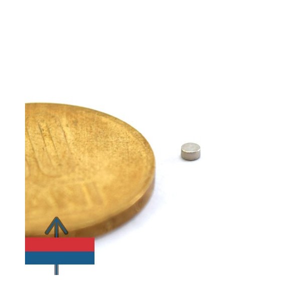 Неодимов магнит диск 02 x 01 мм 2