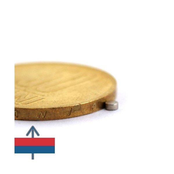 Magnet neodim disc 02 x 01 mm 3