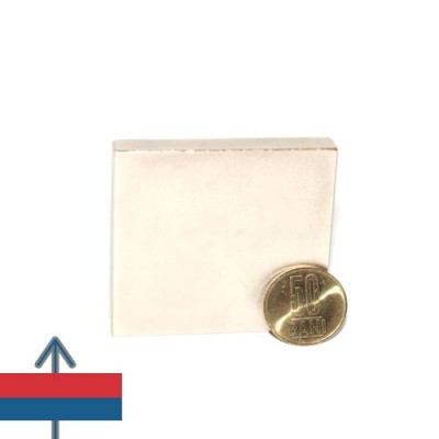 Magnet neodim bloc 60 x 60 x 10 mm 1