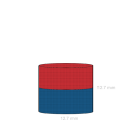 Неодимов магнит цилиндър 12.7 x 12.7 мм размери