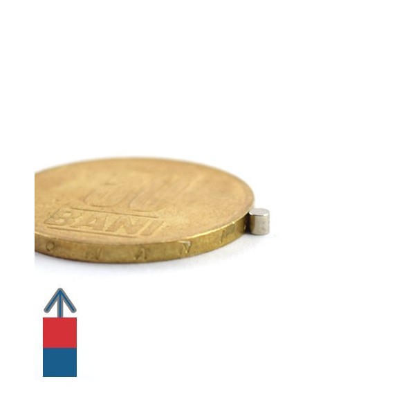 Magnet neodim cilindru 02 x 02 mm 6