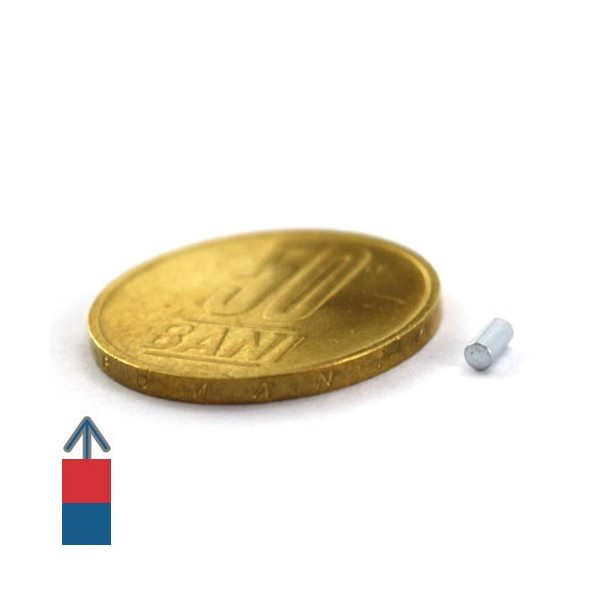 Magnet neodim cilindru 02 x 04 mm 3