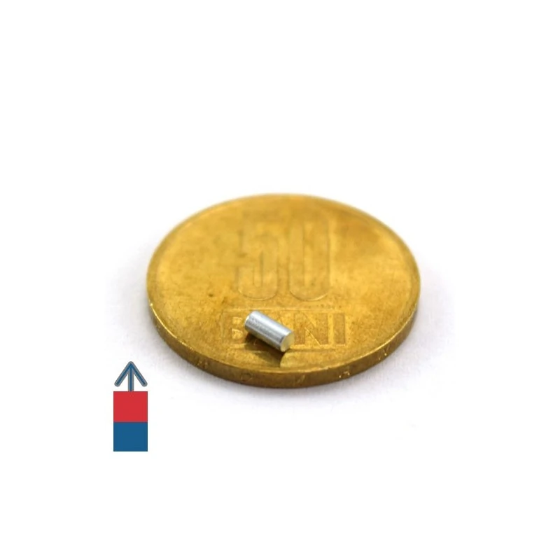 Magnet neodim cilindru 02 x 04 mm 4