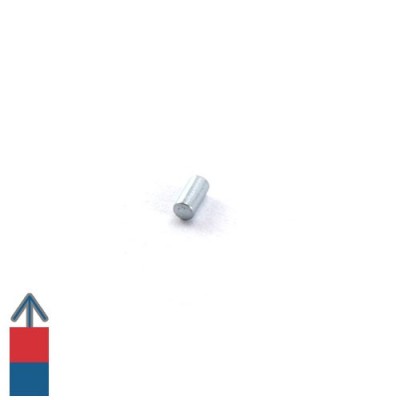 Magnet neodim cilindru 02 x 04 mm 5