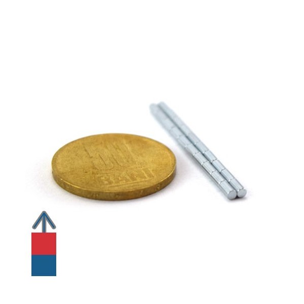 Magnet neodim cilindru 02 x 04 mm 6