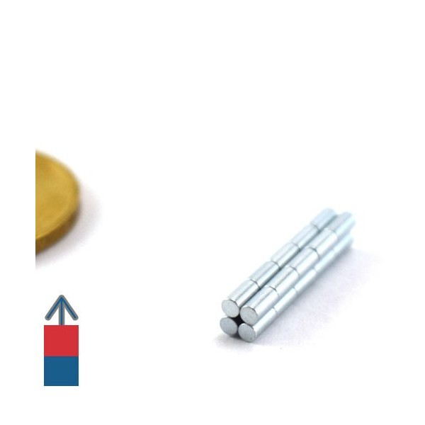 Magnet neodim cilindru 02 x 04 mm 7