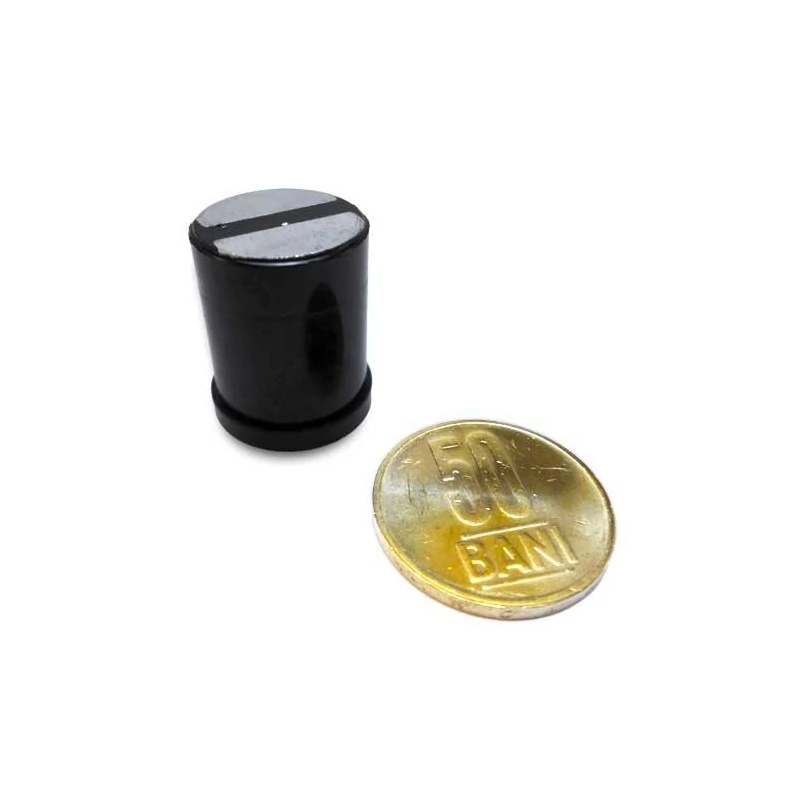 Magnet neodim cilindru 20 x 23 mm 3