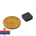 Феритен магнит блок 12 x 12 x 4 мм 1